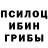 Псилоцибиновые грибы ЛСД Suzanne W