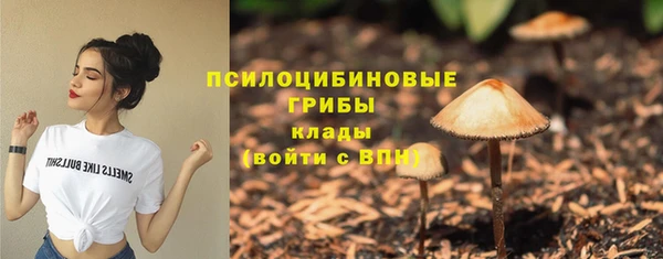 МДПВ Инта
