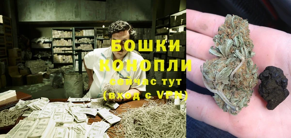 МДПВ Инта