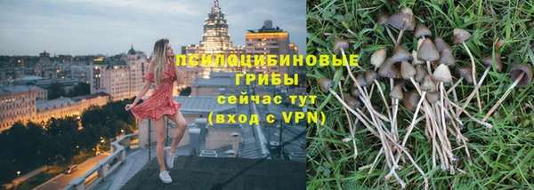 кокс Инсар