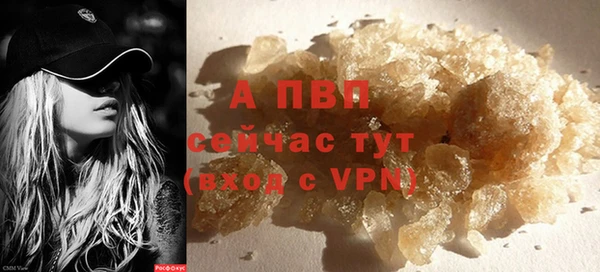 кокс Инсар