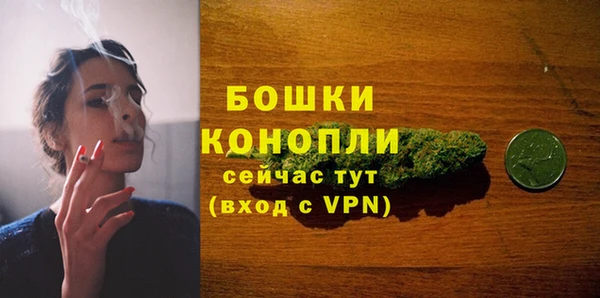 кокс Инсар