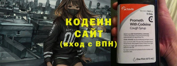 МДПВ Инта